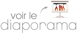 Voir le diaporama